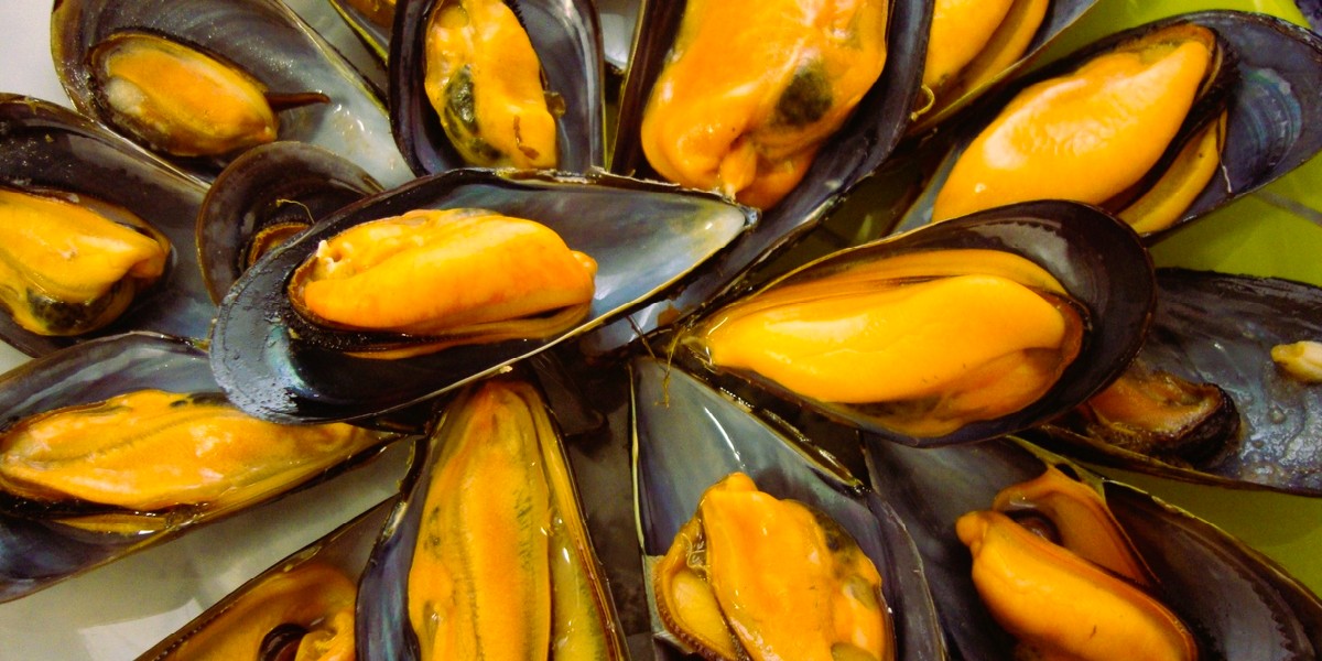 Mejillón de Lorbé recién cosechado de las bateas