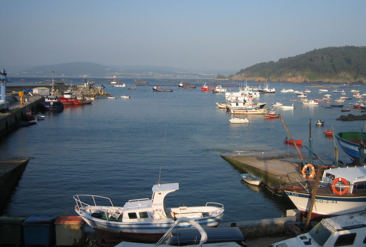 Puerto de Lorbé con embarcaciones pesqueras y bateas de mejillón en la ría de Betanzos